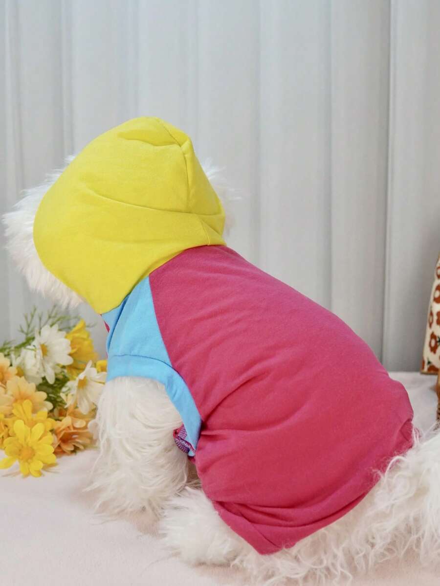 Patchwork Color Block Short Sleeve Hoodie Outerwear For Pomeranian & Bichon Frise