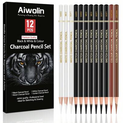 Set de lápices de carbón de colores profesionales, 12 piezas de lápices de tiza pastel para dibujar, sombrear, mezclar, retratos, lápices de carbón negro y blanco para aficionados y artistas