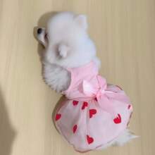 Summer Thin Pet Gauze Skirt For Small Dogs, Bichon, Teddy, Yorkshire Terrier, Schnauzer, Cat, Etc.