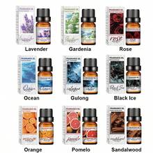 1瓶10毫升优质香氛精油，芳香疗法精油，适用于加湿器和香薰机，持久留香 - 古龙、黑冰、威斯汀、香格里拉、邂逅、新车、柚子、栀子花、海洋香氛精油 - 多樣化香型 - 查看 9