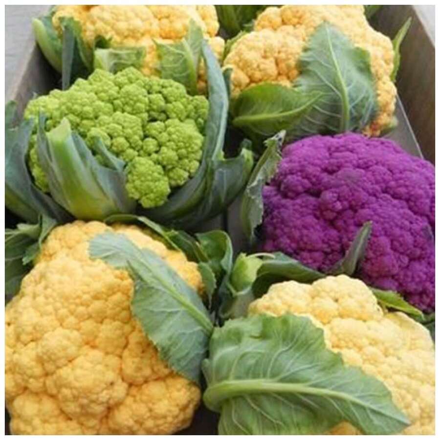 Fgjdgjdd Perennial With High Survival Rate Seeds 175 Rare Seed Rare Plant Seed Cauliflower Seeds For Growing - Gene Variety Packaging With Instructions For Growing And Nurturing Home Outdoor Vegetable Garden, Perfect For Gardening Gifts - 175 - 查看 1
