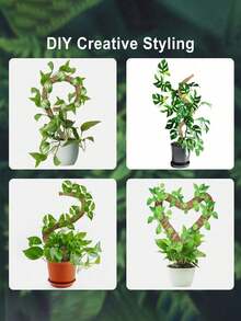 可弯曲苔藓杆、DIY 可弯曲植物支撑杆、自由形状攀爬藤蔓柱、柔性植物支撑杆、可弯曲椰子棕榈杆植物攀爬藤蔓柱柔性固定椰子棕榈棒植物攀爬架、花卉和盆栽植物支撑、攀爬植物支撑、室内植物、园艺工具 - 彩色 - 查看 6