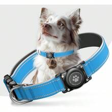 Pet Basic Dog Collars - Ocean Blue - View 12