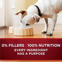 Purina ONE Instinto Verdadero Fórmulas Clásicas de Grano Libre con Pavo y Venado Reales, y con Pollo y Pato Reales Alimento Húmedo para Perros Alto en Proteínas Paquete Variado - (Paquete de 6) Latas de 13 Onzas - Pollo - Ver 9