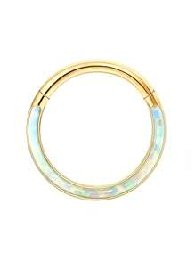 IRONBOX 1PC Surgical Steel Hinged Nose Rings Hoops 16G Clicker Septum Rings Cartilage Hoop Earrings For Women Men Daith Lip Helix Tragus Conch Nose Piercing Jewelry 8mm