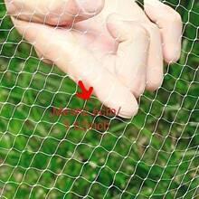 渔网、自动渔网、扫网、提网、拖网、小型渔网 - 白色 - 查看 3