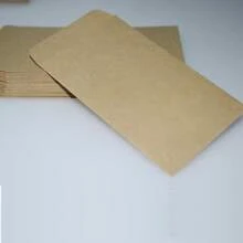 100/200个信封空白牛皮纸棕色种子袋种子袋储物袋，圣诞节情人节