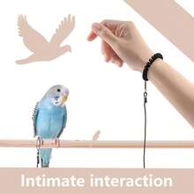 1 Stück Papageien-Leine, ultraleicht und fußfreundliches Outdoor-Trainingsseil für Aras, Kakadus, Papageien