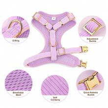 1 Set Velvet Bow Dog Collar & Leash Harness Set - Mauve Purple - View 4