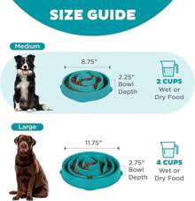 Outward Hound Fun Feeder Slo Bowl, Medium Slow Feeder Dog Bowl, 2 Cups, Turquoise
