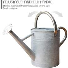 Metal Watering Can For Outdoor And Indoor Plant Care 1 Gallon Zinc Stainless Steel Handle - 004 鋅不銹鋼手柄 - 查看 6