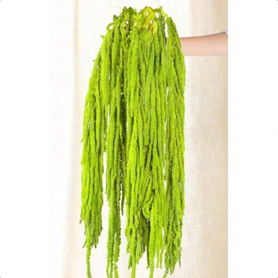 5Pcs Dried Amaranthus Hanging Flowers 100 L 23 Neon Green Preserved Amaranthus Flowers For Wedding Arch Floral Arrangment Wall Hanging-0162 - 淺綠色 - 查看 1
