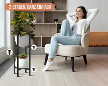 Herramientas para Bonsái