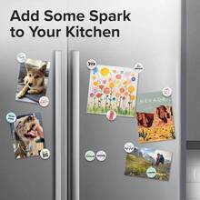 Super Cute Fridge  Locker Magnets  12 Glass Magnets With Vibrant Colors  Strong Hold For Photos, Notes, Recipes  Aesthetic Refrigerator Decoration  Perfect For School  College Locker - 可愛的恐龍 - 查看 3