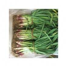 Semillas de flores perennes Ryrteurt, semillas de hojas de ajo, semillas de vegetales, brotes de ajo de hoja ancha, semillas de ajo, ajo verde Yanggarlic, fácil de plantar - 500 piezas - Ver 1