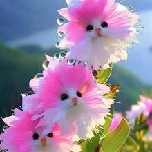 Adad111 2025 Fashion Popular Products And Hot-Selling Cat Orchids Full Of Fragrance And Strong Fragrance. New Potted Plant Shape Is Cute, Fragrant, And Formaldehyde Removal - 白色大花臉貓 - 查看 2