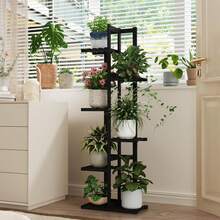 Herramientas para Bonsái