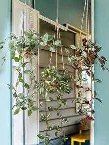 1/3件装悬挂式草堆，网状草，涤纶草，人造植物，绿色装饰，全年装饰，春夏装饰，学校宿舍，办公室，派对，生日，家居，酒店，餐厅，客厅，卧室，婚礼，厨房，花园，圣诞装饰（含花盆） - 綠色 - 查看 11