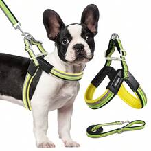 2pcs Dog Harness Vest Set, Adjustable Soft Padded Chest Strap Y-Shaped Harness With Leash, Suitable For Medium & Small Dogs Walking Training - Multicolor - View 2