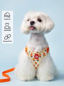 PETSIN 可愛寵物胸帶和繩子套組合，適用於小型犬，戶外遛狗，防逃跑貓繩，可調節貓背心，適用於所有季節 - 橘色 - 查看 5