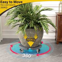 Herramientas para Bonsái