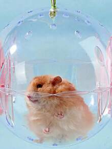 Cuib de jucărie cu minge de alergare pentru hamster, minge de alergare transparentă cu role, minge de alergare pentru hamster, potrivită pentru călătorii și transportul hamsterilor în barăci temporare pentru a împiedica pisicile să muște mingi de jucărie, cele mai bune cadouri de ziua de naștere pentru animale mici, produse pentru animale de companie, cuib de animale de companie, jucării pentru animale mici - Multicolor - Vizualizare 8
