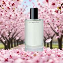 Body Mist Bergamot Hinoki Scent Unisex Infused Perfume Hair Body Spray 3.4 Fl Oz - All - 查看 1