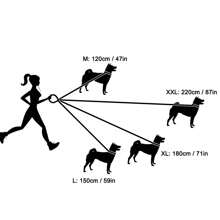 2-Tone Cloud Pattern Dog Leash, Beautiful Colors, High Quality Women's Dog Leash With Soft Grip Handle - Durable, Suitable For Training, Walking And Outdoor Recreation - Perfect For Camping And Backyard Play With Pets Of All Sizes, Long Dog Training Leash, Nylon Reflective Leash, Dual Leash, Fit For Small/Medium/Large Dogs - Multicolor - View 2