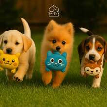 Interactive Plush Toy With Sound For Dogs And Cats - 黃色 - 查看 5