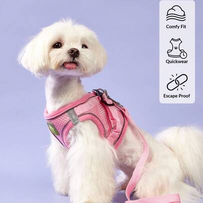 PETSIN 一入組寵物胸背帶和禮帶套裝,適用於貓和狗,四季適用,小型/中型,背心式防勾帶繩,野外步行舒適的網狀布材質,可調節反光貓胸背帶