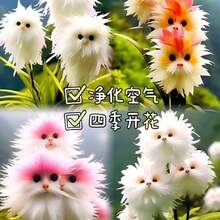 Adad111 2025 Productos de moda populares y talla grande vendidos. Orquídeas de gato llenas de fragancia y fragancia fuerte. La nueva forma de planta en maceta es linda, fragante y elimina el formaldehído - Amor rojo - Ver 2