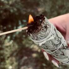 1/3/5 Pcs White Sage Smudge Sticks - Mint Bundle, Suitable For Home Fragrance, Home Decor, Traditional Ceremonies, Halloween, Christmas, Thanksgiving Gifts, Sage Smudge Stick Refill