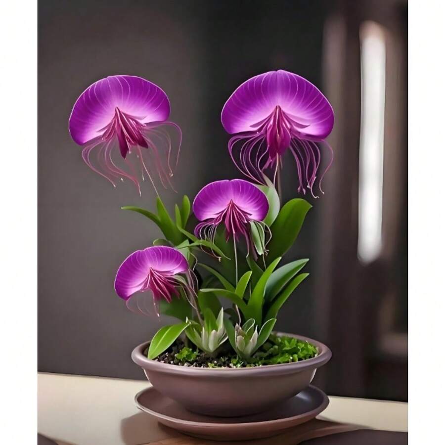 Cold-Resistant  Free Shipping  Heat-Resistant 100 Seeds Top Quality Rare Lily Seeds: Vivid Flowers, Cold-Resistant, Blooming Year-Round, Easy To Plant - 變體 1 - 查看 1