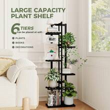 Herramientas para Bonsái