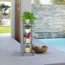 Herramientas para Bonsái