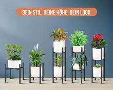 Herramientas para Bonsái