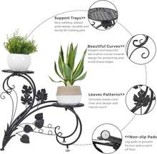 Herramientas para Bonsái