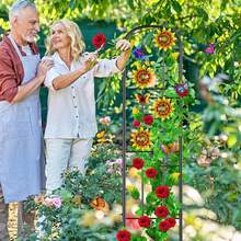 Herramientas para Bonsái