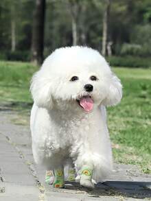 Samoprzylepne buty dla zwierząt do ochrony na zewnątrz – wielokrotnego użytku ochraniacze na łapy dla psów i kotów | Wodoodporny, antypoślizgowy uchwyt, bez resztek sierści (łatwe chodzenie)