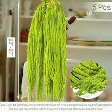5Pcs Dried Amaranthus Hanging Flowers 100 L 23 Neon Green Preserved Amaranthus Flowers For Wedding Arch Floral Arrangment Wall Hanging-0162 - 淺綠色 - 查看 2