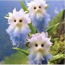 Adad111 2025 Fashion Popular Products And Hot-Selling Cat Orchids Full Of Fragrance And Strong Fragrance. New Potted Plant Shape Is Cute, Fragrant, And Formaldehyde Removal - Wei Lian - 查看 1