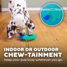 Outward Hound Cutie Chewies Hedgehog Dental Dog Chew Toy, Blue - 青碧色 - 查看 5