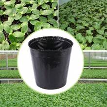 100PCS Plastic Plant Flower Pots Nursery Seedlings Pot Garden Container UK - 黑色 - 查看 7