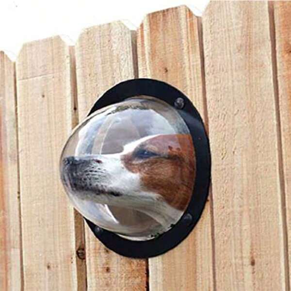Fence Window For Pets