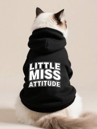 1pc Black Pet Sweatshirt, Warm For Winter, Small Dog Clothes, Autumn/Winter, Anti-Shedding, Suitable For Poodle, Teddy, Bichon Frise, Small Breed, Puppy