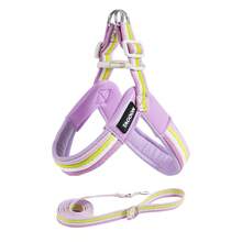 2pcs Dog Harness Vest Set, Adjustable Soft Padded Chest Strap Y-Shaped Harness With Leash, Suitable For Medium & Small Dogs Walking Training - Multicolor - View 8