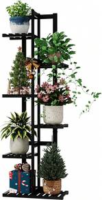 Herramientas para Bonsái