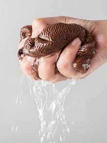 超吸水超细纤维清洁布 - 5/10 件，不起毛且耐用，适用于厨房、洗车和家庭使用 12 英寸 X 12 英寸 - 棕色 - 查看 5