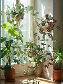 1/3件装悬挂式草堆，网状草，涤纶草，人造植物，绿色装饰，全年装饰，春夏装饰，学校宿舍，办公室，派对，生日，家居，酒店，餐厅，客厅，卧室，婚礼，厨房，花园，圣诞装饰（含花盆） - 綠色 - 查看 10