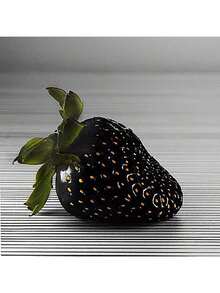Free Home Delivery Garden 200 Black Strawberry Seeds, High Germination Rate, Easy To Grow, Sweet And Sour, Suitable For Family Gatherings Or Festivals To Make Juice Or Desserts. - 1000 - 查看 9